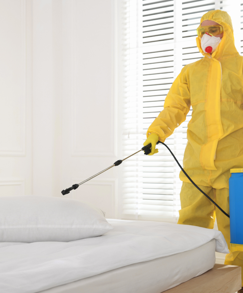 Professional Pest Control Team in Stirling